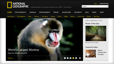 手机号测压下载